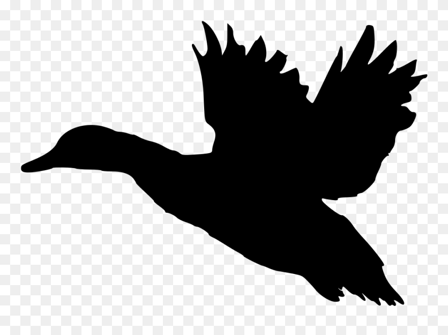 Donald Duck Mallard Silhouette Clip Art - Flying Duck Silhouette Png Transparent Png