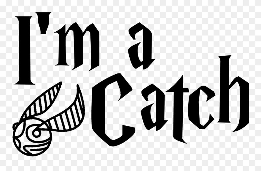 Transparent Harry Potter Quidditch Clipart - Im A Catch Harry Potter - Png Download