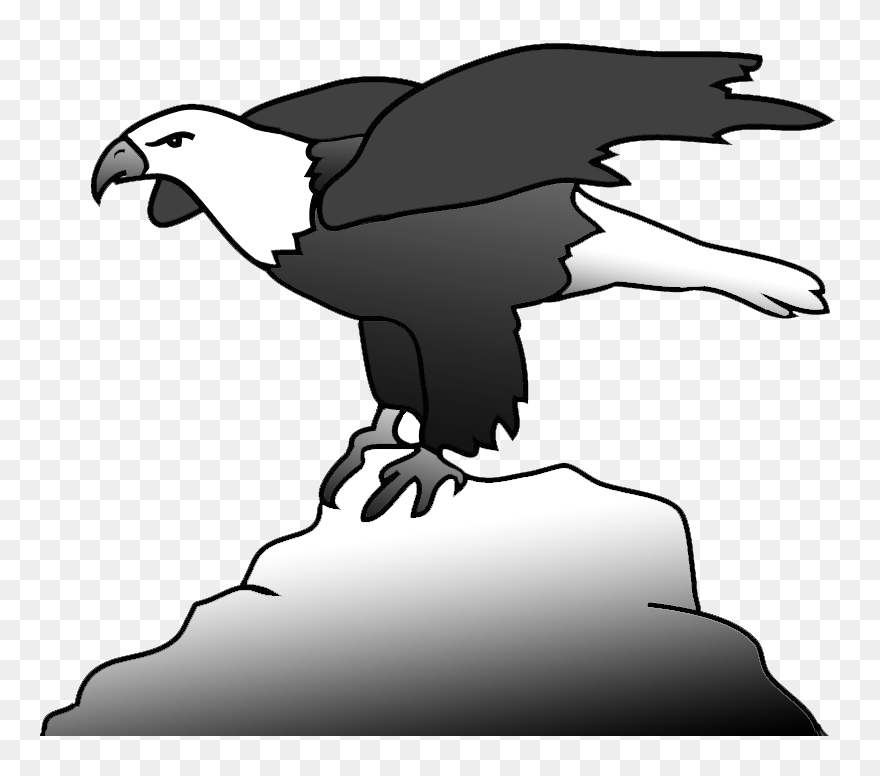 Bald Eagle On A Rock Clipart - Bald Eagle - Png Download