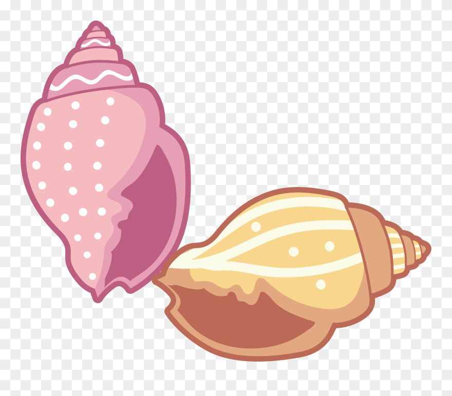 Transparent Sea Shell Clip Art - Cartoon Sea Shell Png