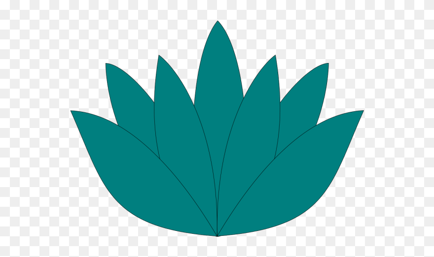Aqua Lotus Flower Png Icons - Helsinki Zoo Clipart
