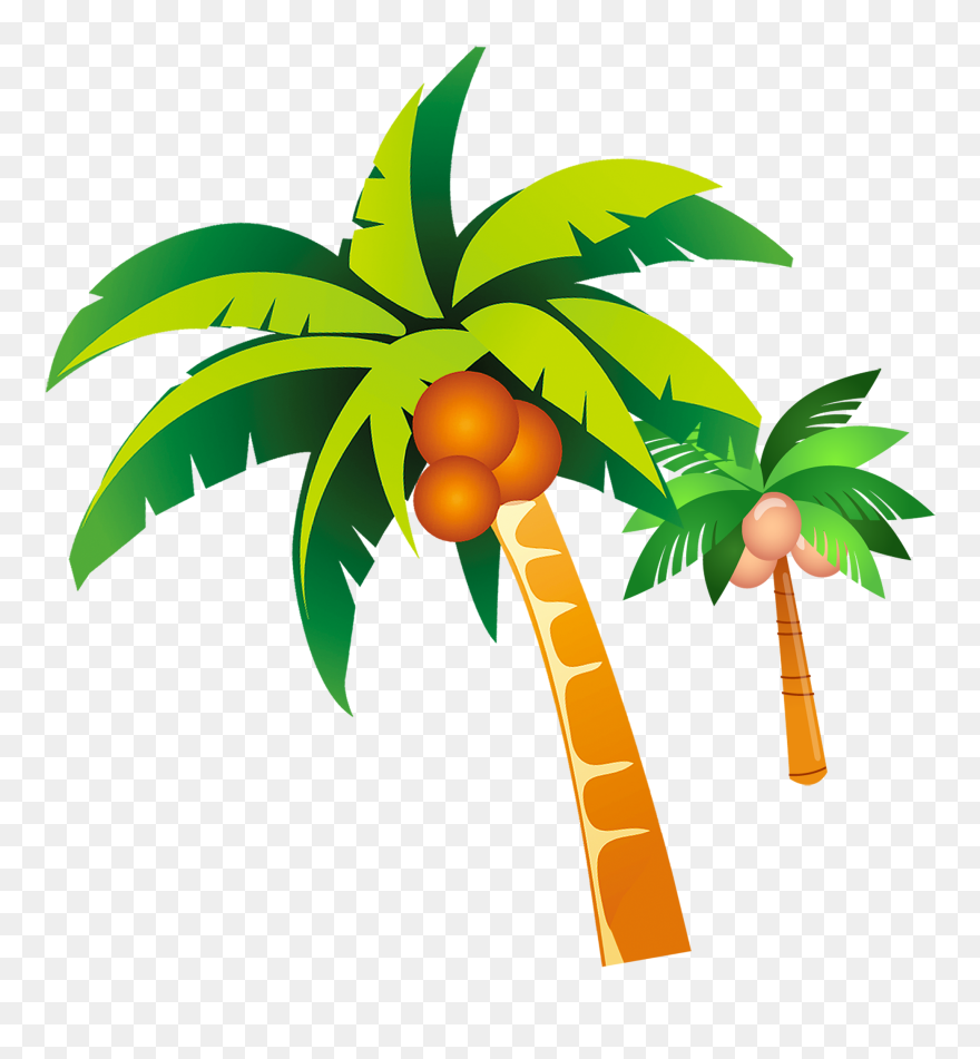 Nata De Coco Design Clipart