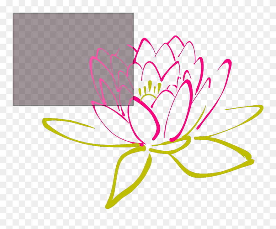 Water Lily Black And White Png Clipart