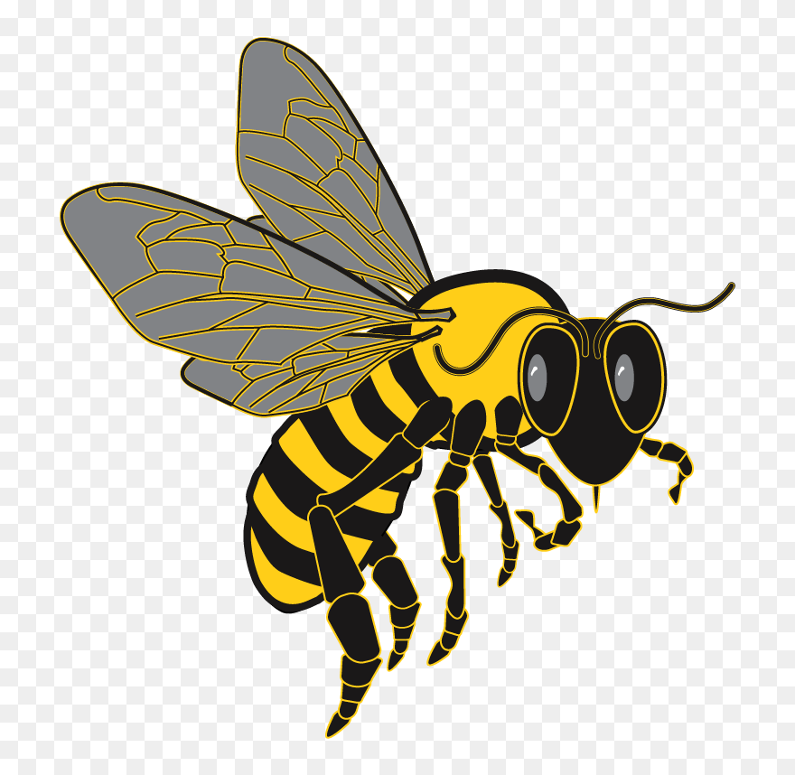 Bee Clipart - Png Download