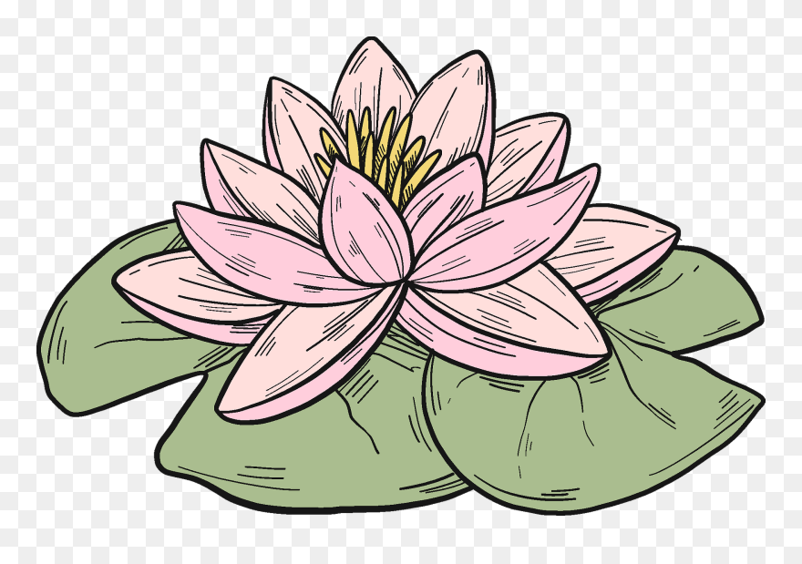 Sacred Lotus Clipart