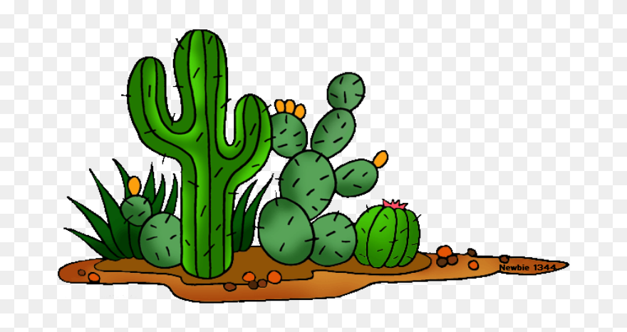 Newbie Cactus Town Tragedy - Desert Cactus Clip Art - Png Download