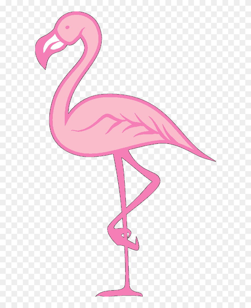 Greater Flamingo Clipart