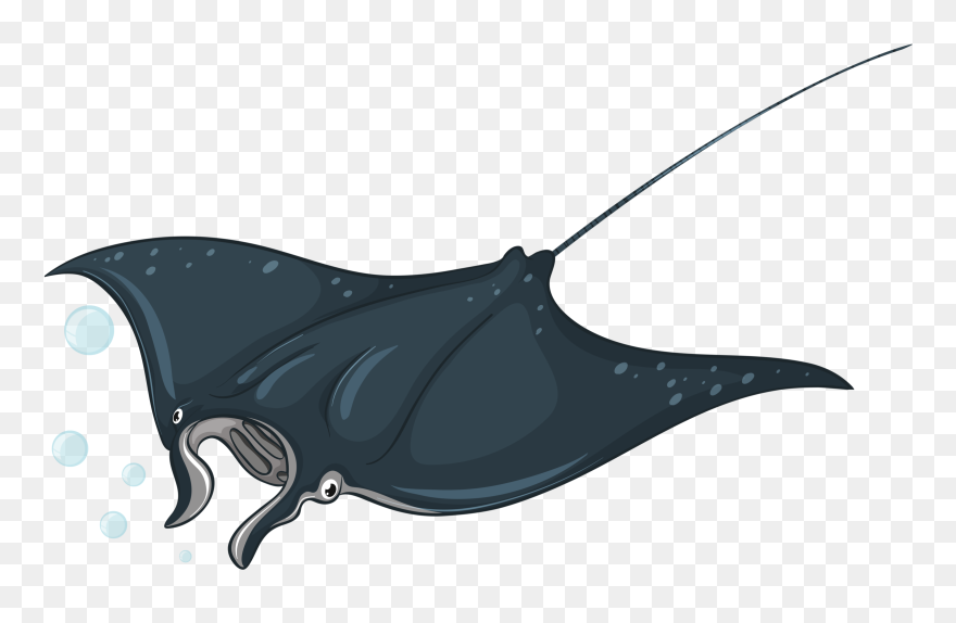 Types Of Sea Animals - Stingray Illustration Clipart