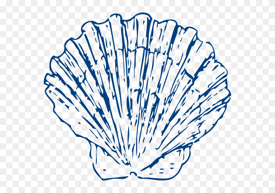 Coral Clipart Black And White - Png Download