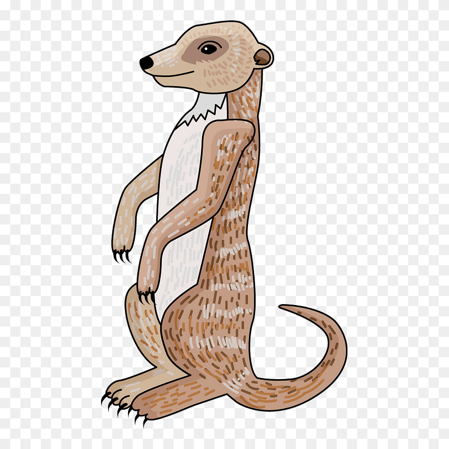 Meerkat Clipart - Illustration - Png Download