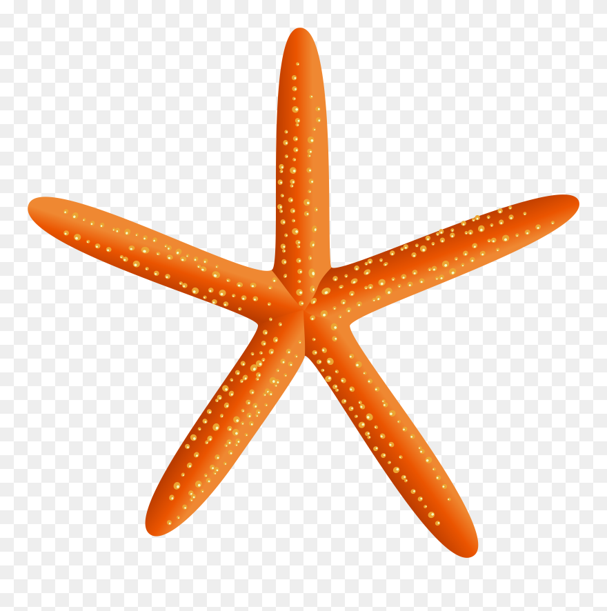 Starfish Clipart Pink Starfish - Png Download