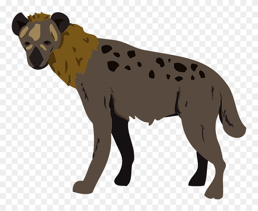 Hyena Animal Clipart - ハイエナ イラスト - Png Download