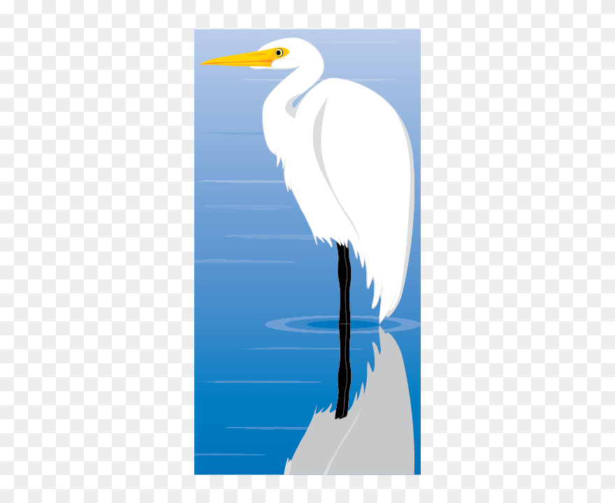 Egret Bird Vector Clip Art - Great Egret - Png Download