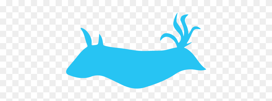 Maharaja Eco Dive Lodge Clipart