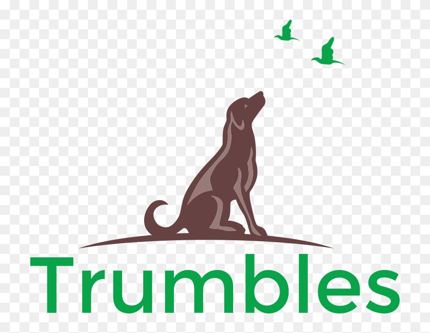 Grain Clipart Rainy Season Food - Dog - Png Download