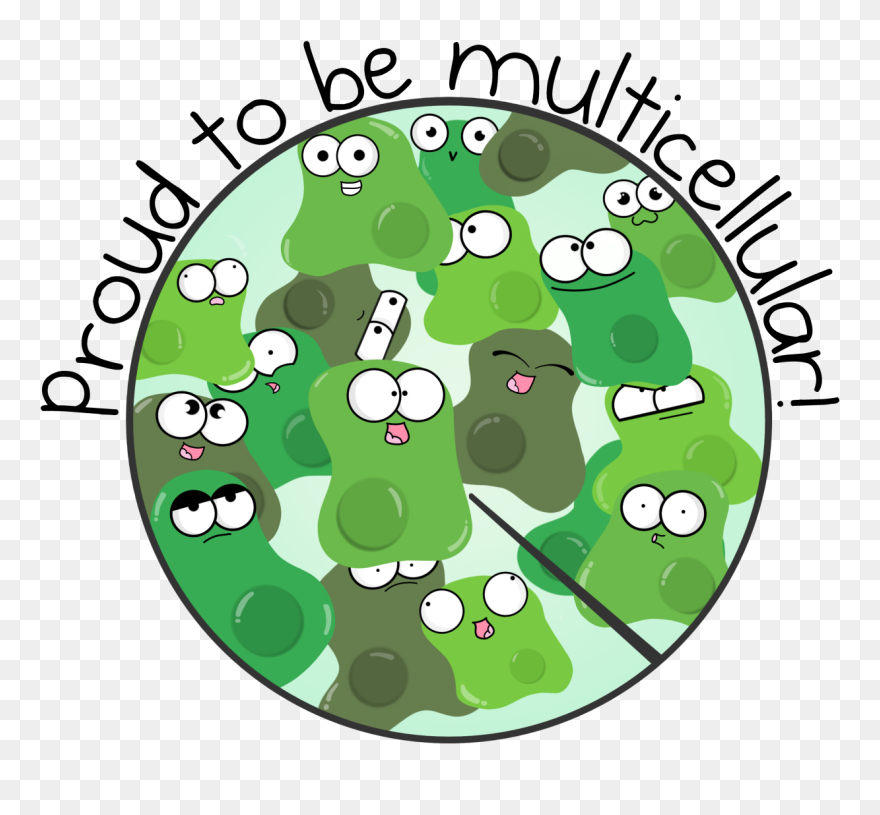 Transparent Bacteria Clipart - Multicellular Amoeba Sisters - Png Download