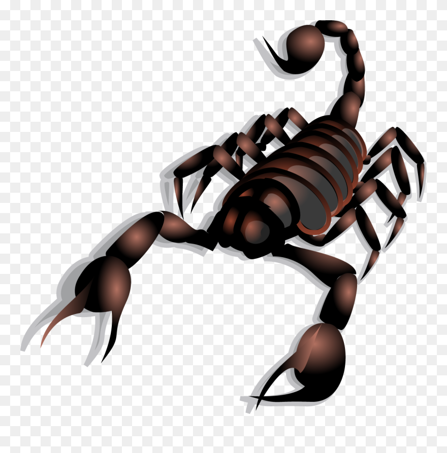Scorpion Clip Art - Png Download
