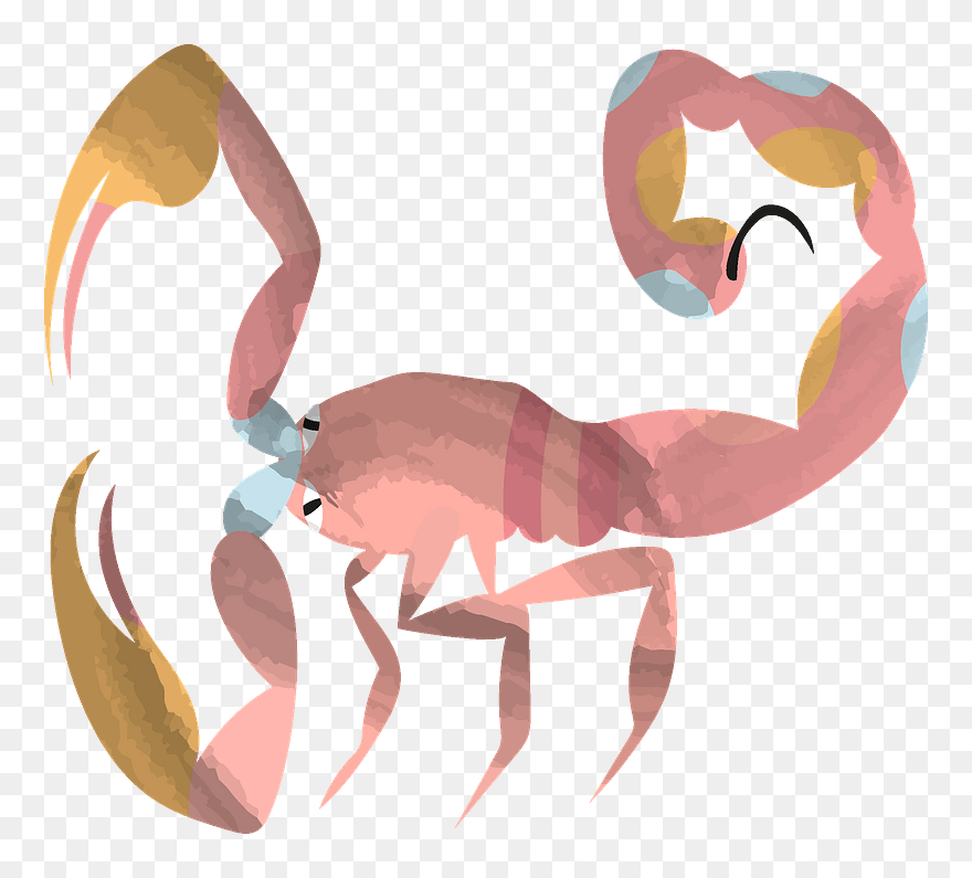 Scorpio Clipart - Illustration - Png Download