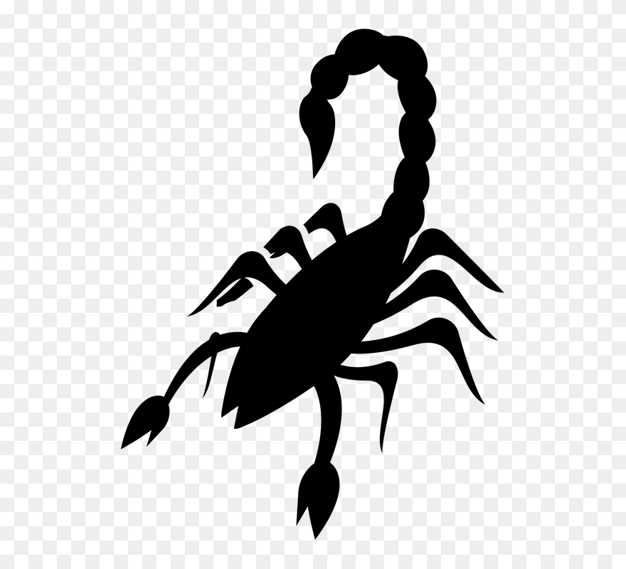 Scorpions Clipart