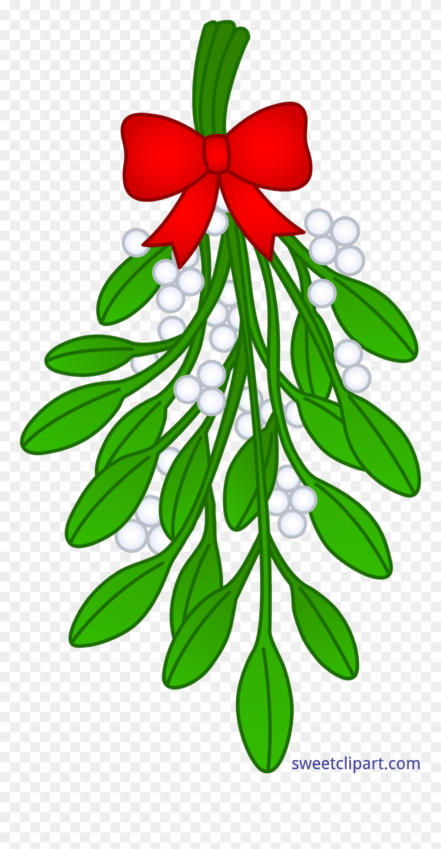 Mistletoe Clipart Tumblr Transparent - Clipart Mistletoe - Png Download