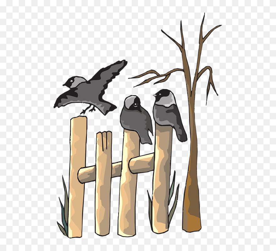 Transparent Plants Clipart - Clipart Birds On A Fence - Png Download