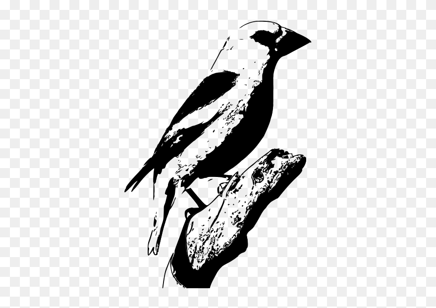 Clip Art - Png Download