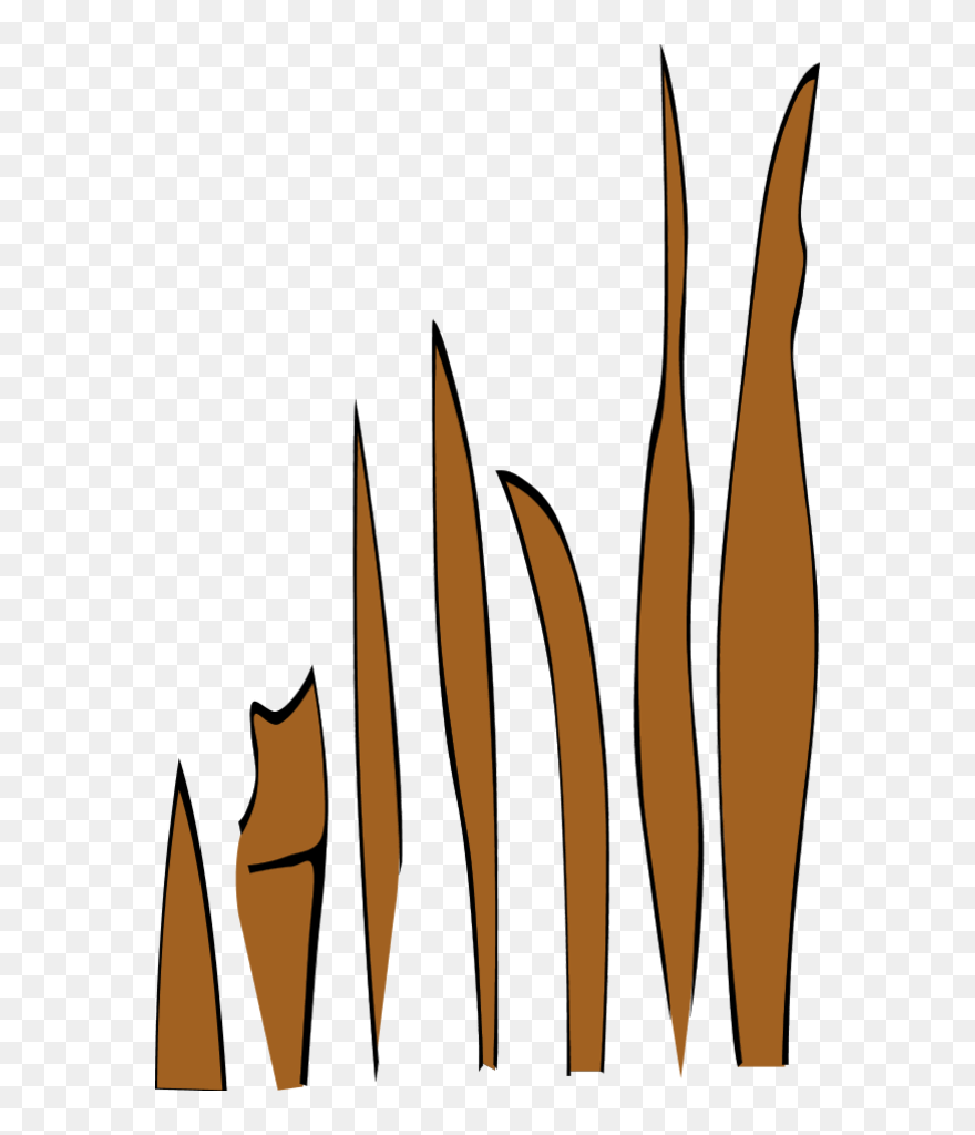 Transparent Soil Clipart - Grass Clip Art - Png Download