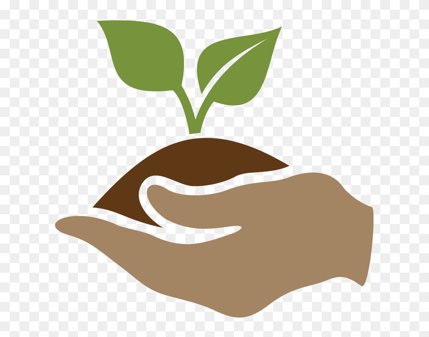 Graphic Representing The Cpc Best Plant Conservation - Conservation Clipart - Png Download