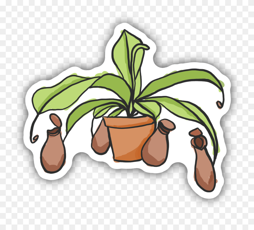Pitcher Plant Sticker Clipart