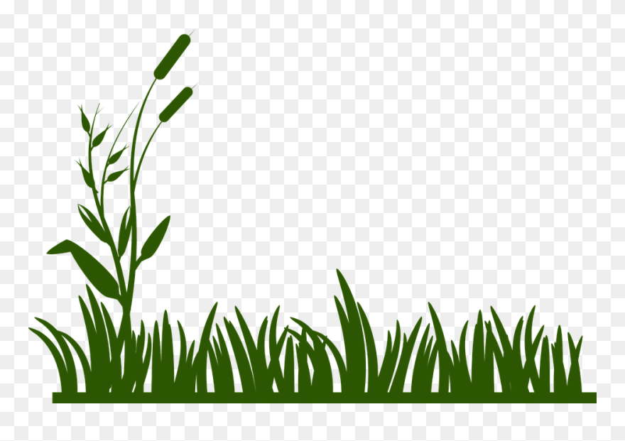 Coral Reef Clipart Fish Tank Plant - Grass Drawing - Png Download