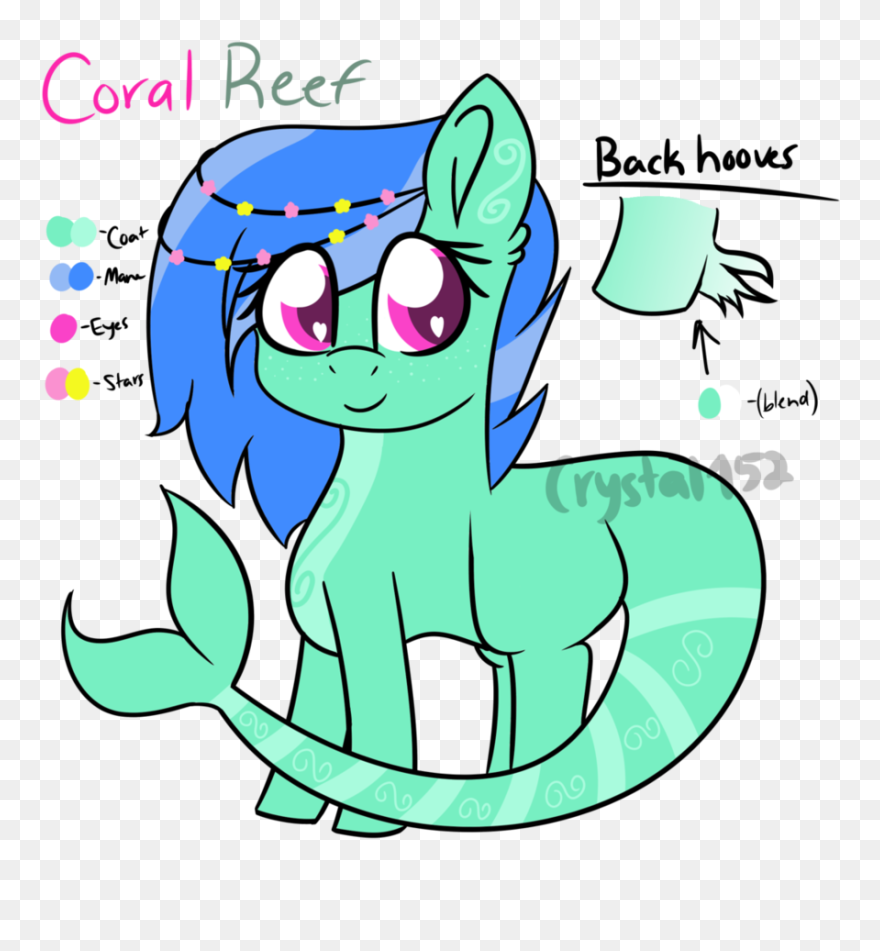 Coral Reef Reference Sheet By Crystalclear152 - Cartoon Clipart