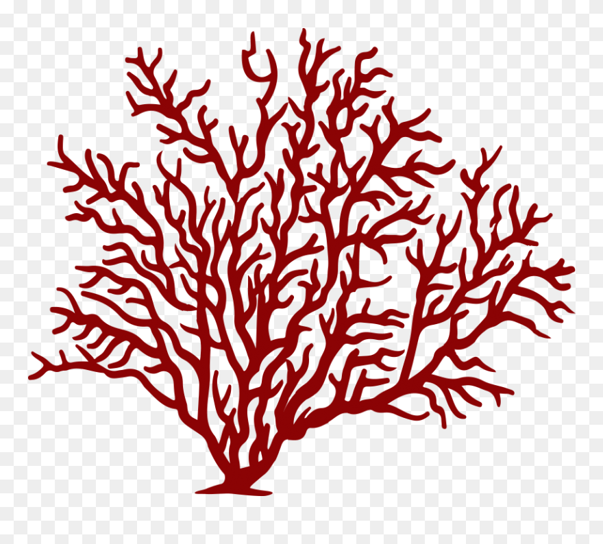 #coral #reef #fish #sea #red #freetoedit - Coral Png Clipart