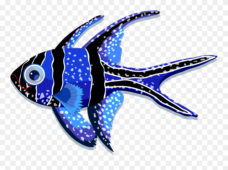 Gambar Ikan Berwarna Warni Clipart