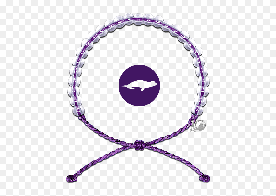 Monk Seal Bracelet - 4ocean Hawaiian Monk Seal Bracelet Clipart