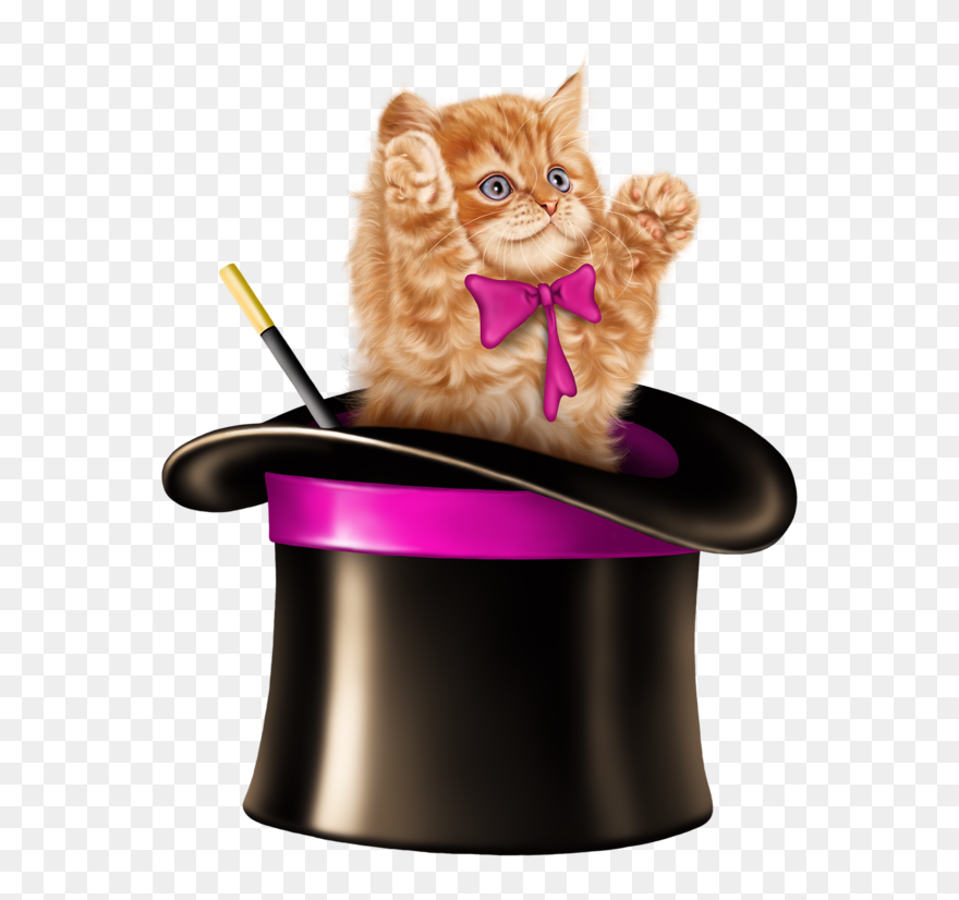 Kitten Cartoon, Kitten Images, Tube, Clip Art, Card - Cat In A Hat Clipart - Png Download