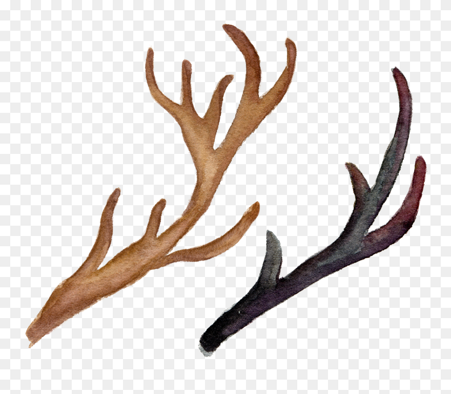 Reindeer Antler Flower Logo - Antlers With Flowers Png Clipart