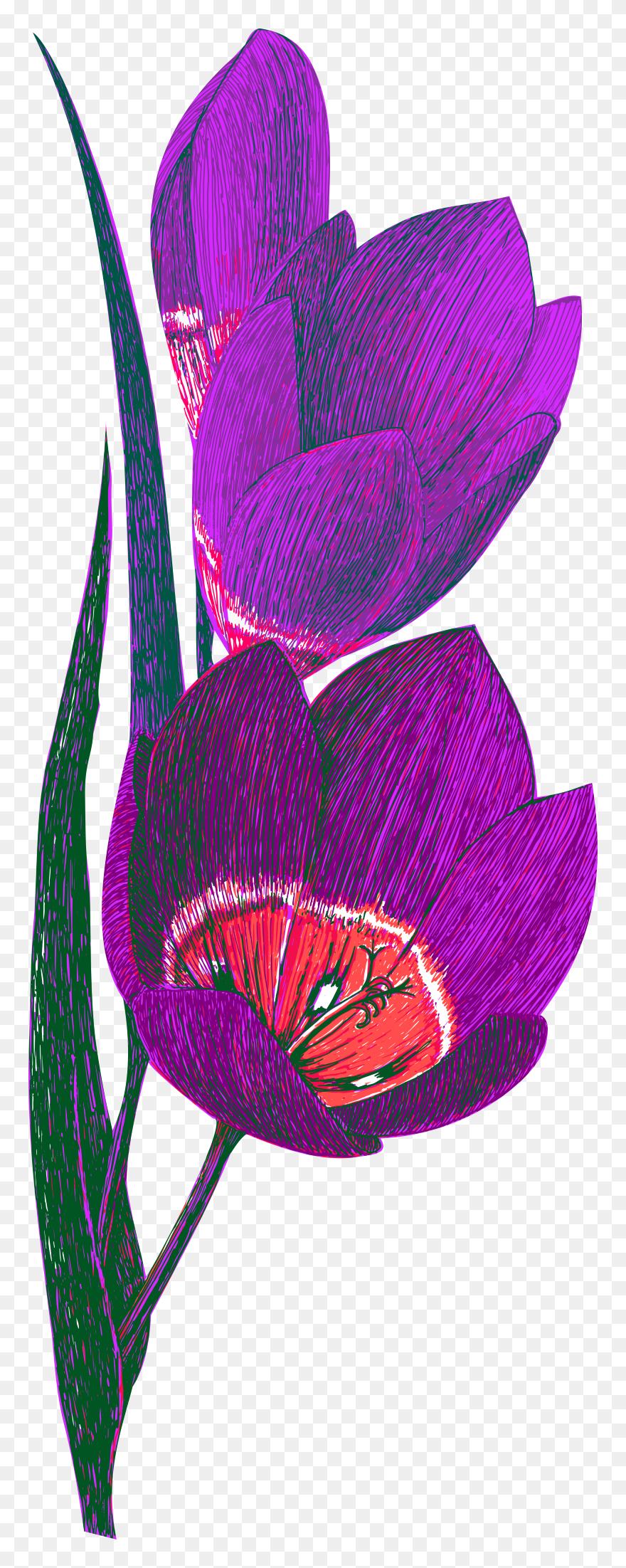 Floral Design Clipart