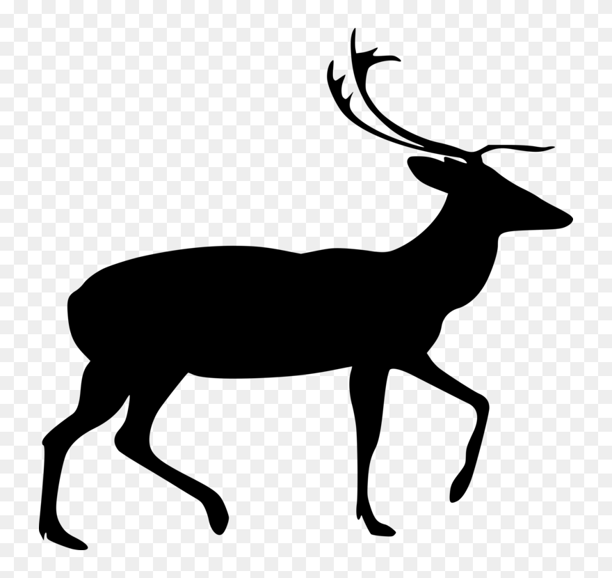 Elk,wildlife,tail - Deer Vector Png Clipart