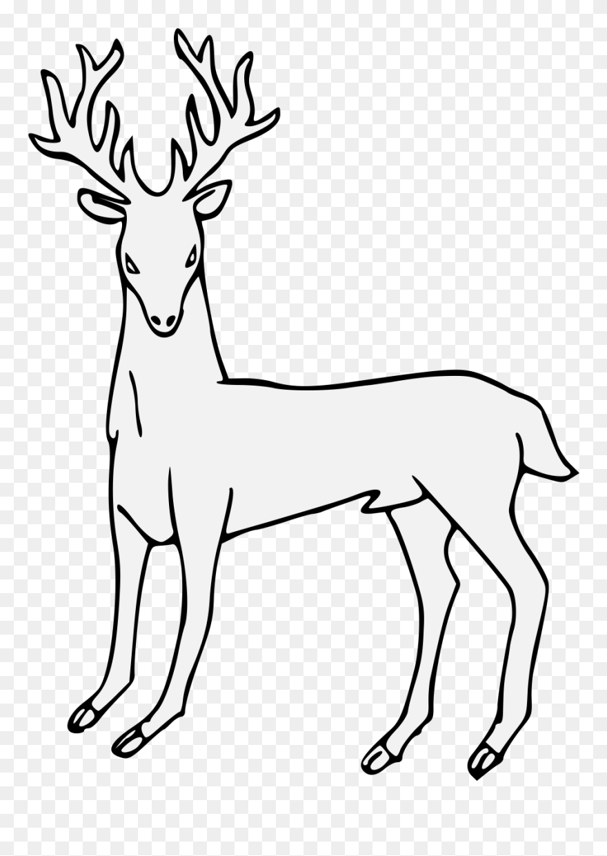 Clip Art - Png Download