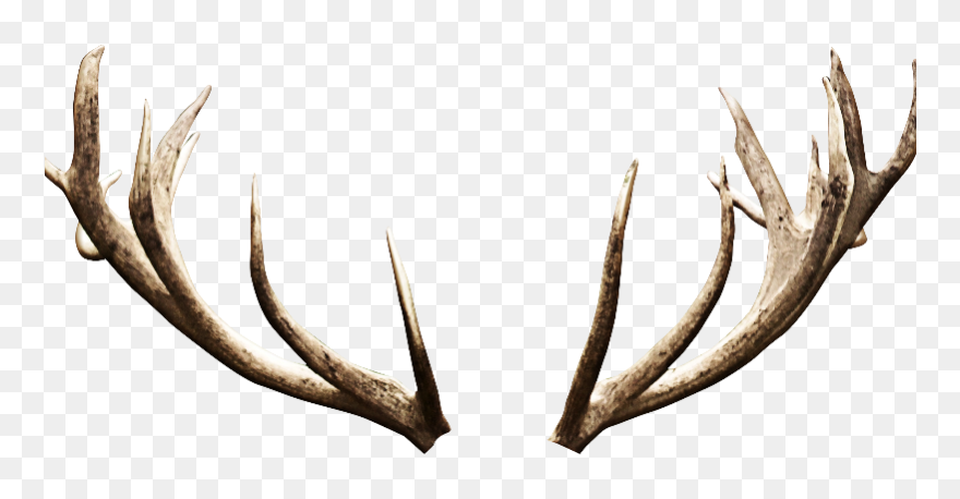 Antler Deer Image Editing - Deer Horns Png Clipart