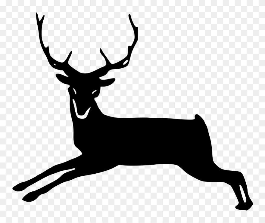Reindeer White-tailed Deer Antler Clip Art - Png Download