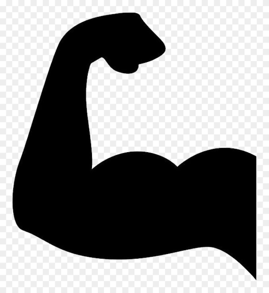 Muscle Png Image - Muscle Png Clipart