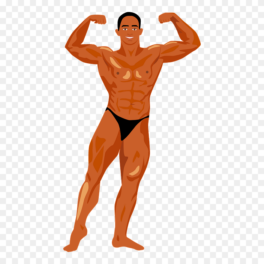 Bodybuilder Clipart - Bodybuilding Clipart - Png Download