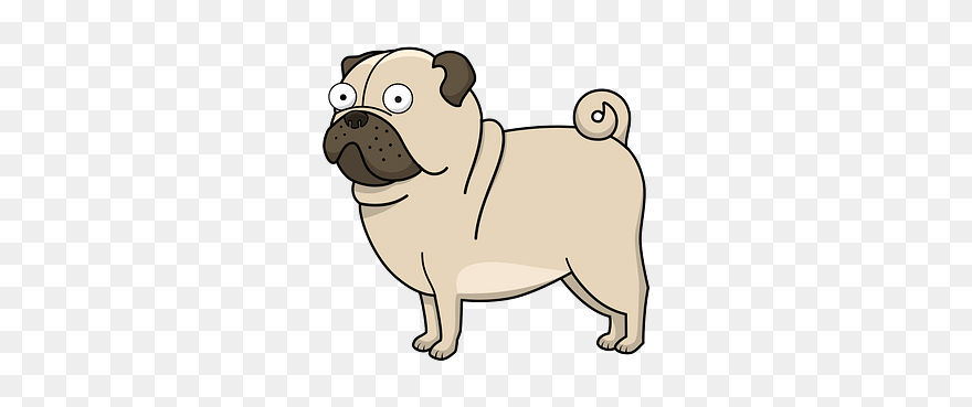 Coloring Page Of A Pug Clipart