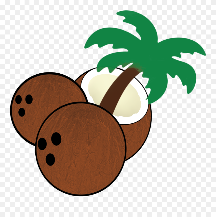 South Florida Coconuts - Coconut Seed Cartoon Clipart