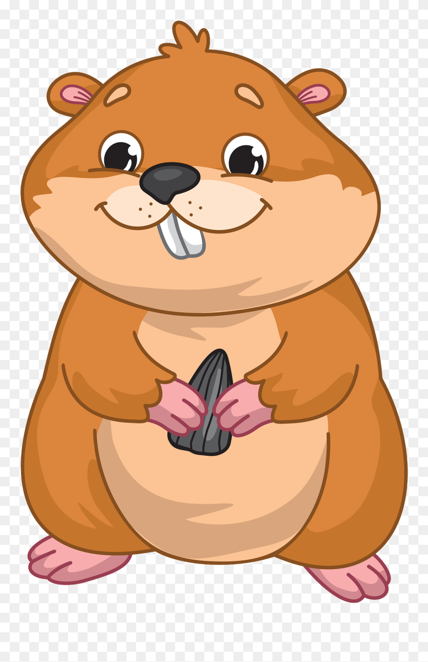 Hamster Holding Sunflower Seed Clipart - Dibujos De Hamsters Animados - Png Download