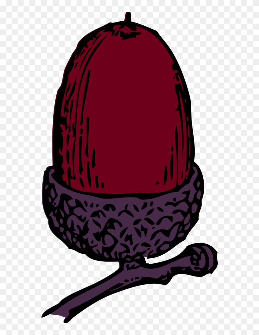 Transparent Seed Packets Clipart - Png Download