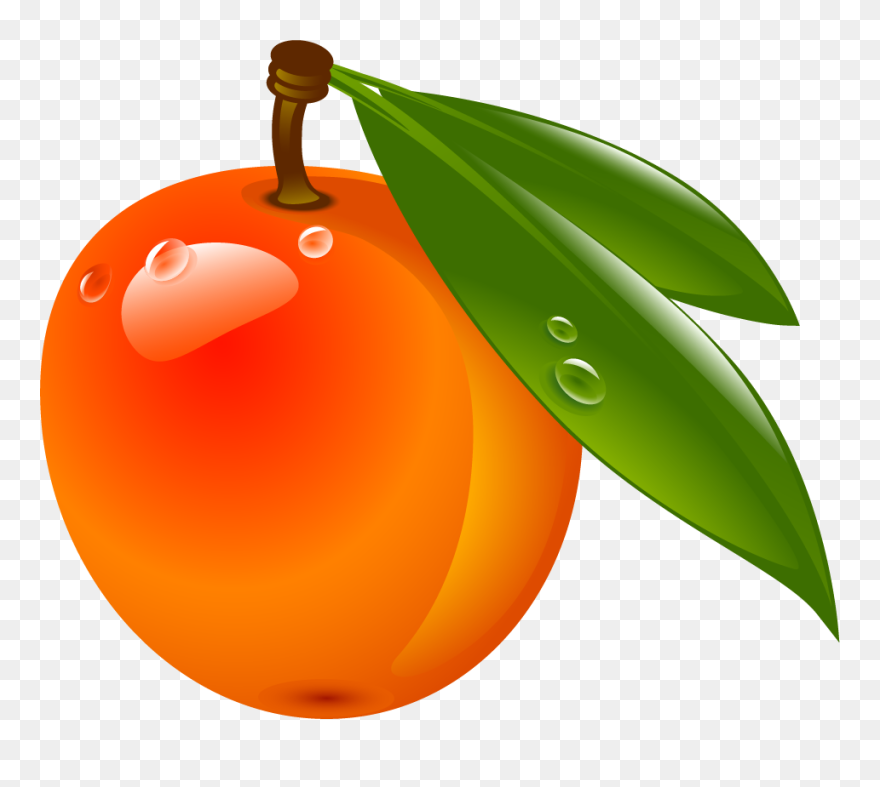 Clip Art - Png Download
