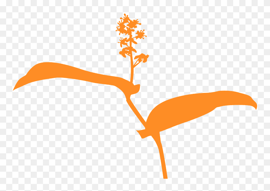 Clip Art - Png Download