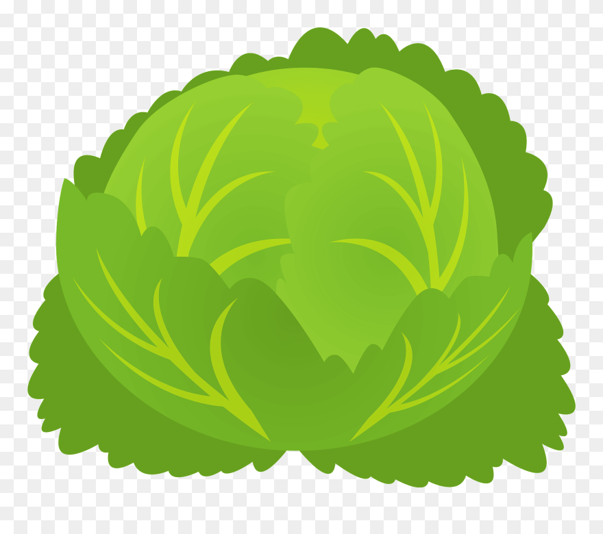 Cabbage Clipart - Png Download